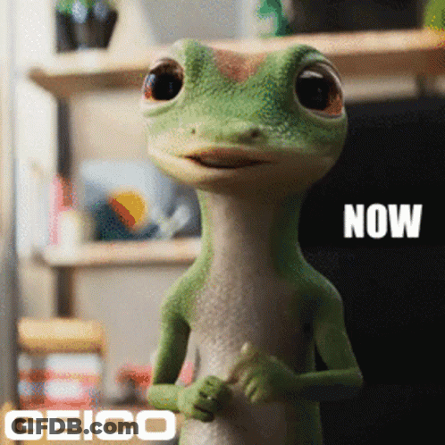 A Geico Ad With A Lizard And The Words Now GIF