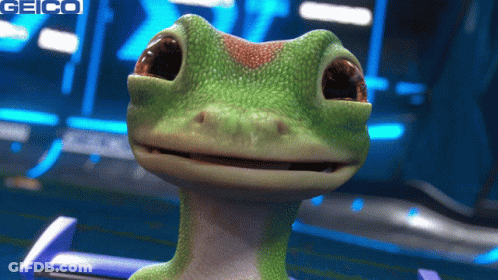 A Geico Ad With A Lizard In The Background GIF