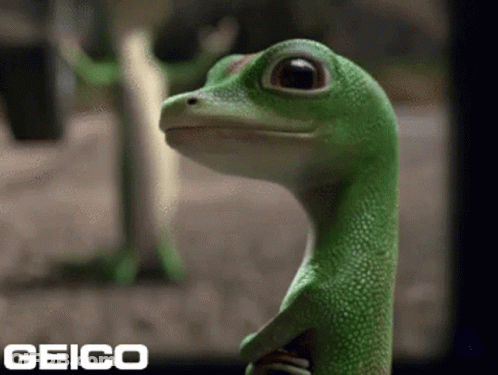A Geico Ad With A Lizard In The Background GIF
