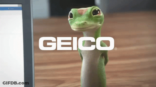 A Geico Ad With A Lizard Standing In Front Of A Laptop GIF