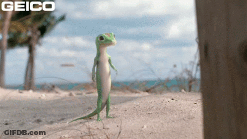 A Geico Ad With A Lizard Standing On The Beach GIF