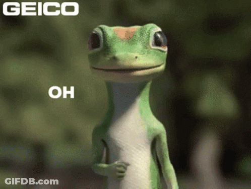A Geico Ad With A Lizard That Says Oh On It GIF