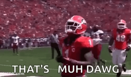 A Georgia Bulldogs Mascot Is Wearing A Helmet And Dancing On A Football Field . GIF