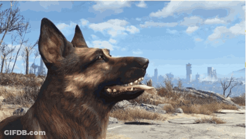 A German Shepherd Dog Is Looking Up At The Sky GIF