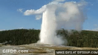 A Geyser Is Erupting In A Field With Trees In The Background GIF
