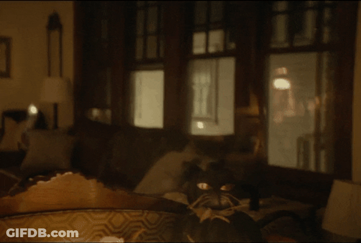 A Ghost Reflection On The Glass GIF