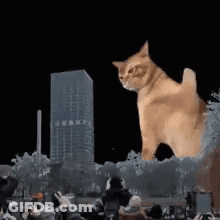 A Giant Cat Is Standing In The Middle Of A Crowd Of People GIF