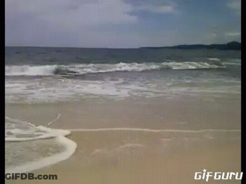 A Gif Of A Beach That Says Gif Guru GIF