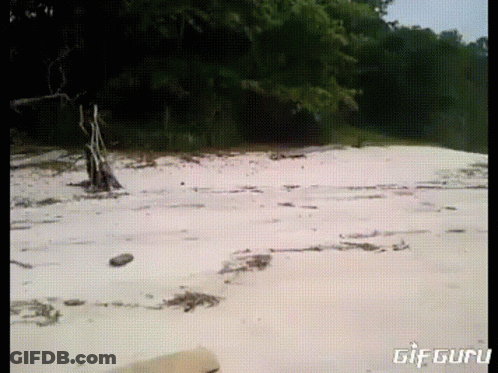 A Gif Of A Beach With The Words Gif Guru On The Bottom Right GIF