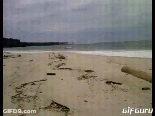 A Gif Of A Beach With The Words Gif Guru On The Bottom Right GIF