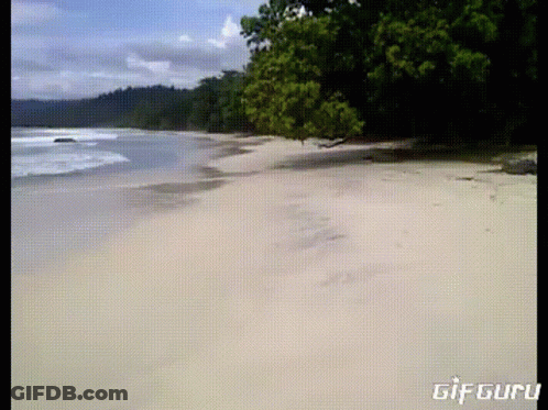 A Gif Of A Beach With The Words Gif Guru On The Bottom Right GIF