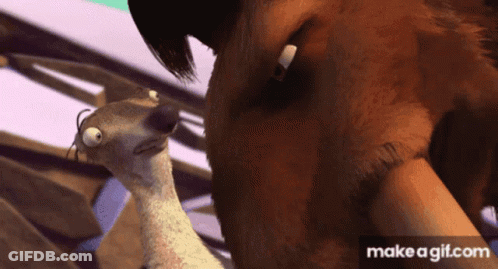 A Gif Of A Bear And A Squirrel Is Made On Makeagif.com GIF