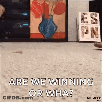 A GIF Of A Cat Asking Are We Winning Or Wha ? GIF