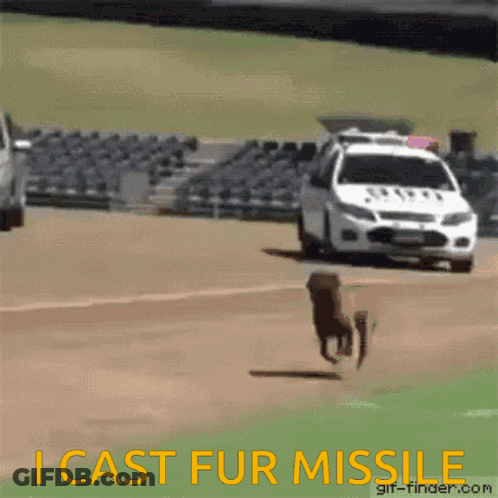 A Gif Of A Dog Running In Front Of A Police Car That Says " I Cast Fur Missile " GIF