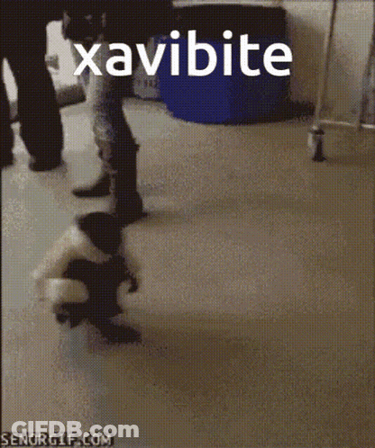 A Gif Of A Dog Walking With The Word Xavibite Above It GIF