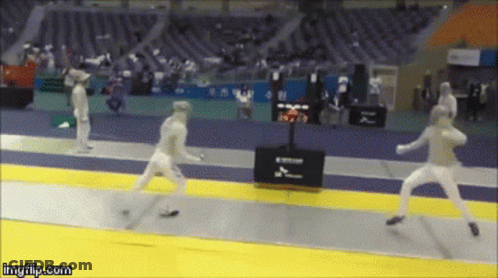 A Gif Of A Fencing Match With The Words Imgflip.com On The Bottom GIF