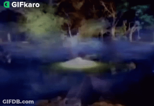 A Gif Of A Lake With Trees In The Background GIF