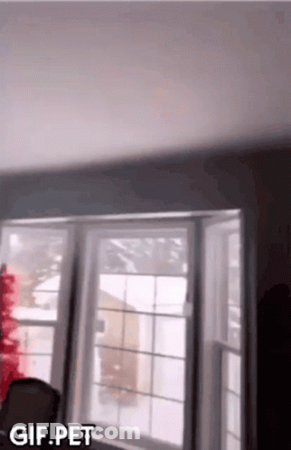 A Gif Of A Person Standing In Front Of A Window With The Words Gif Pet Below It GIF