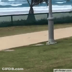 A GIF Of A Person Walking On A Sidewalk With A Beach In The Background GIF
