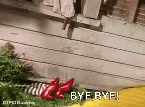 A Gif Of A Wizard Of Oz Scene With The Words `` Bye Bye '' GIF