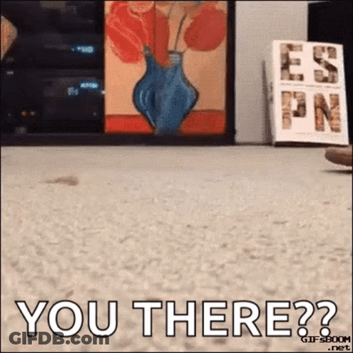 A GIF That Says You There In Front Of A Vase GIF