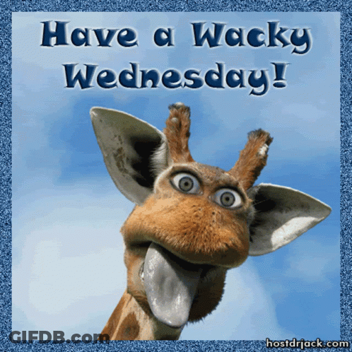 A Giraffe Sticking Its Tongue Out With The Words Have A Wacky Wednesday Written Below It GIF