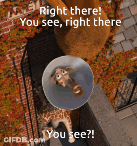 A Giraffe Wearing A Cone On Its Head With The Words Right There You See Right There You See On The Bottom GIF