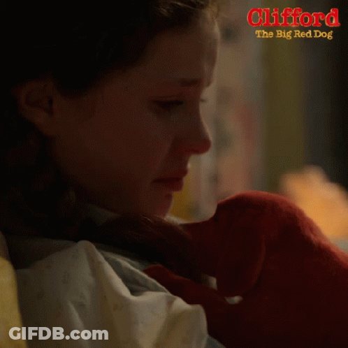 A Girl Holding A Stuffed Animal With The Words Clifford The Big Red Dog GIF