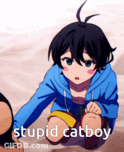 A Girl In A Blue Hoodie Is Kneeling Down With The Words Stupid Catboy Written On The Bottom GIF
