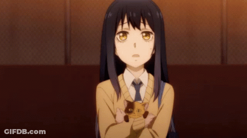 A Girl In A Sweater And Tie Is Holding A Cat GIF