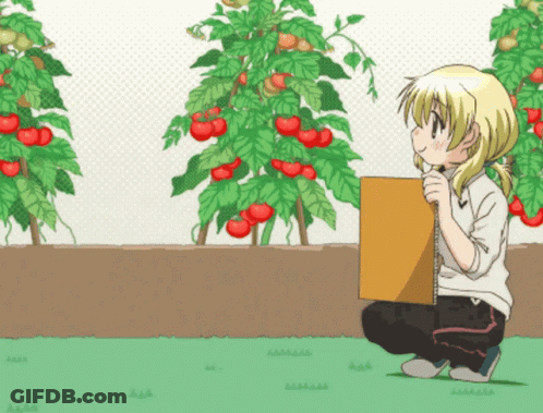 A Girl Is Kneeling In Front Of A Tomato Plant Holding A Cardboard Box GIF
