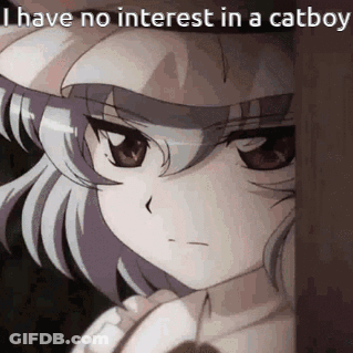 A Girl Is Peeking Out From Behind A Wall With The Words `` I Have No Interest In A Catboy '' Written On It . GIF