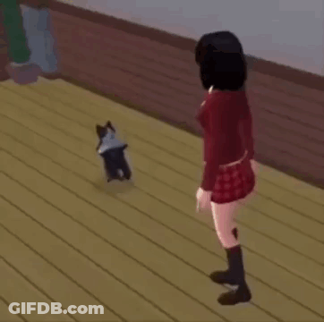 A Girl Is Standing Next To A Black And White Cat On A Wooden Floor In A Video Game . GIF