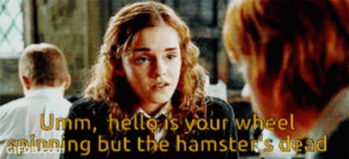 A Girl Is Talking To A Man With The Words Umm Hello Is Your Wheel Spinning But The Hamster 'S Dead GIF