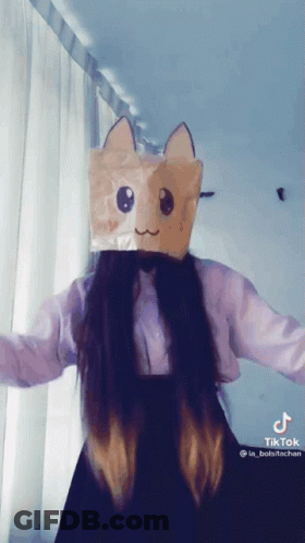A Girl Is Wearing A Paper Bag On Her Head With A Cat Face On It GIF