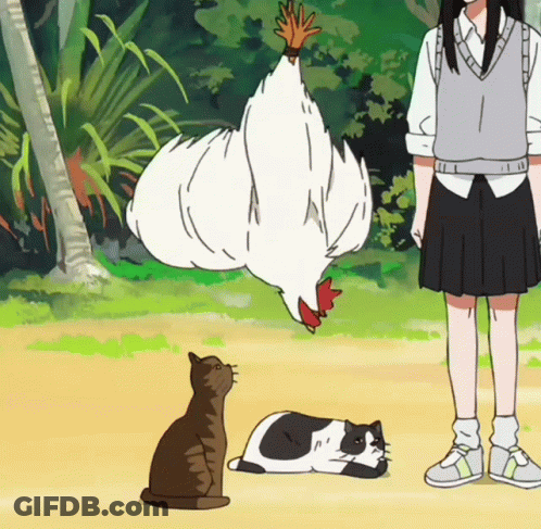 A Girl Standing Next To A Cat And Chicken GIF
