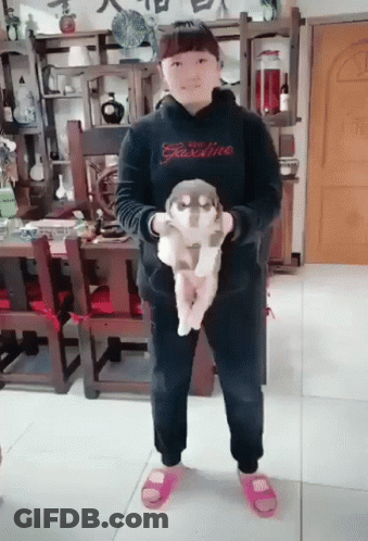 A Girl Wearing A Black Hoodie That Says Gasoline Holds A Small Dog GIF