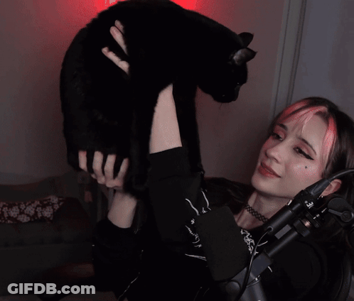 A Girl With Pink Hair Holds A Black Cat In Her Arms GIF