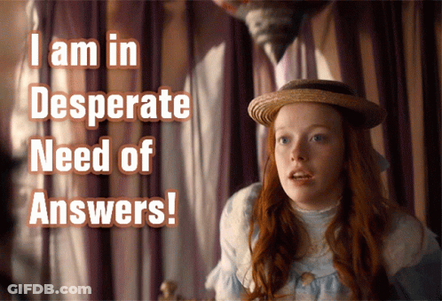 A Girl With Red Hair Is Wearing A Straw Hat With The Words I Am In Desperate Need Of Answers Behind Her GIF