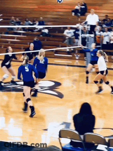 A Girl With The Number 5 On Her Jersey Is Playing Volleyball On A Court GIF