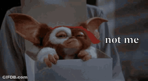 A Gizmo From The Movie Gremlins Is Laying In A Box And Says Not Me GIF