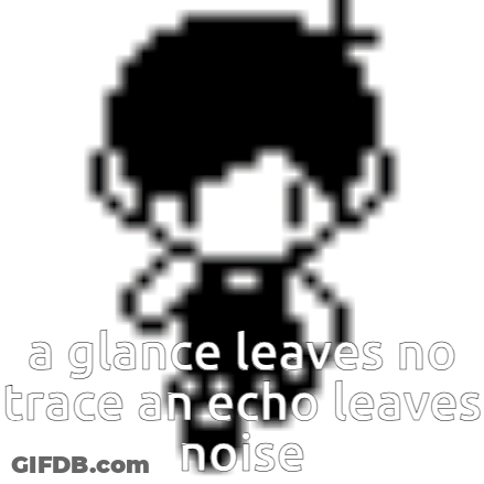 A Glance Leaves No Trace An Echo Leaves Noise GIF