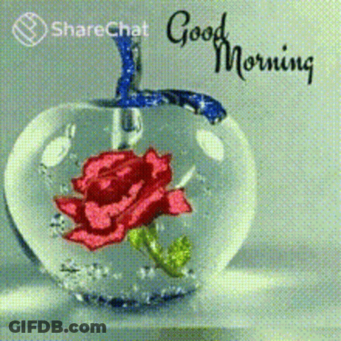 A Glass Apple With A Red Rose In It And The Words `` Good Morning '' Written On It . GIF