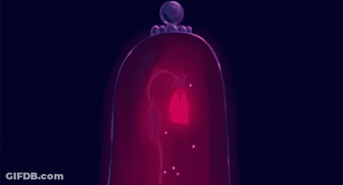 A Glass Dome With A Red Light Inside Of It GIF