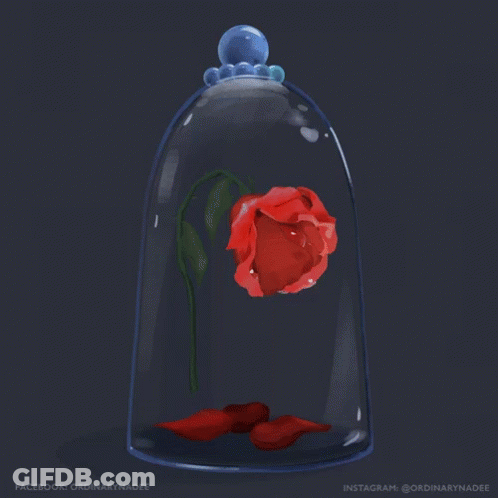 A Glass Dome With A Red Rose Inside And The Words Dinarynadee On The Bottom GIF