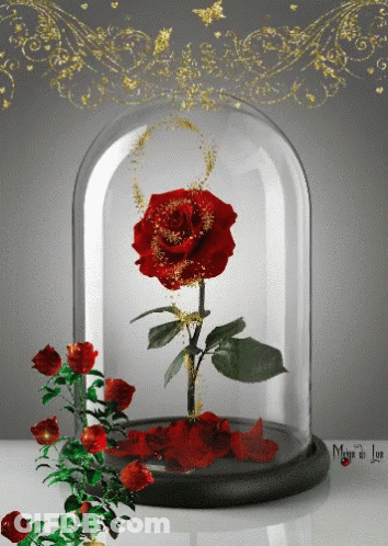 A Glass Dome With A Red Rose Inside Of It And The Words Magie De Luxe Below It GIF
