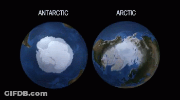 A Globe Showing Antarctica And The Arctic On It GIF