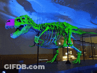 A Glow In The Dark Dinosaur Skeleton Is Displayed GIF