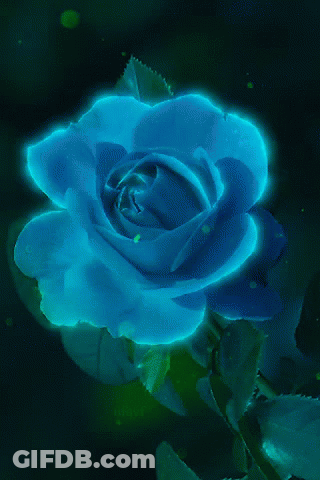 A Glowing Blue Rose With Green Leaves In The Background GIF