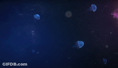 A Glowing Pink Lotus Flower Is Floating On Top Of A Body Of Water . GIF